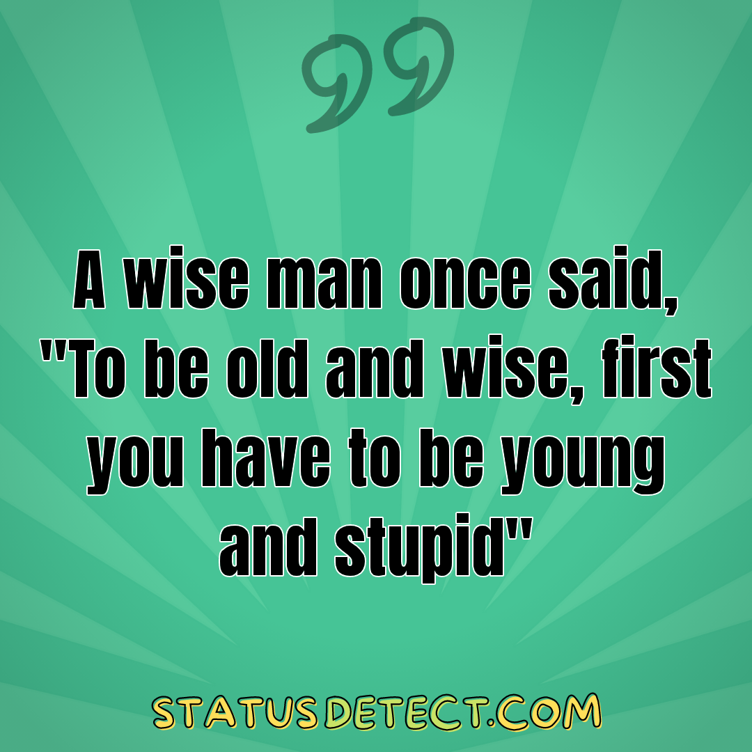 A wise man once said, "To be old and wise, first you have to be young and stupid" - Status Detect