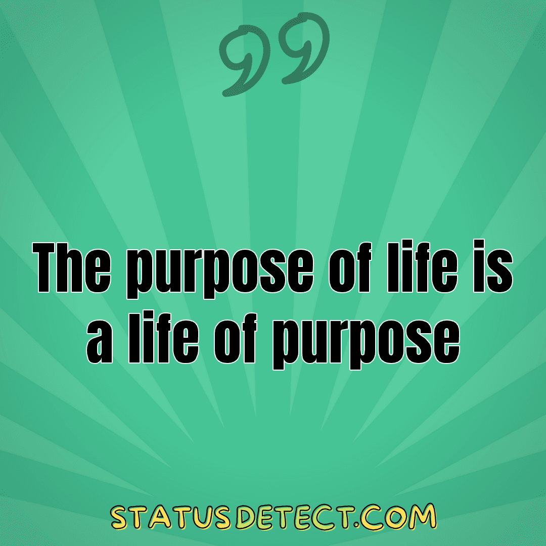 The purpose of life is a life of purpose - Status Detect