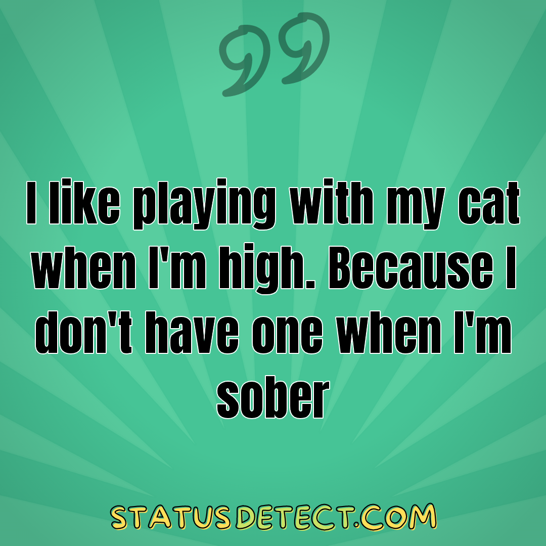 I like playing with my cat when I'm high. Because I don't have one when I'm sober - Status Detect