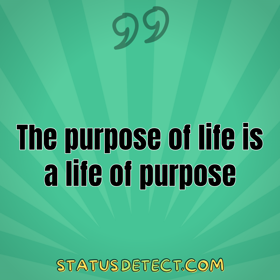 The purpose of life is a life of purpose - Status Detect